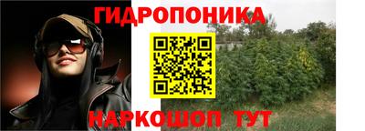 дживик Бердск