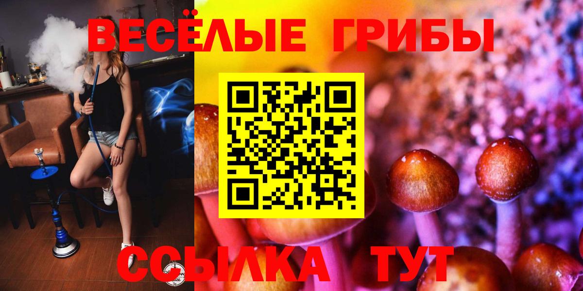 Псилоцибиновые грибы мухоморы Воронеж