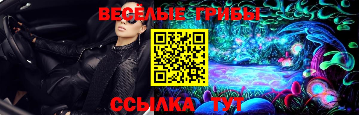 Воронеж  Галлюциногенные грибы Psilocybe  Псилоцибиновые грибы мицелий  Вход с VPN 
